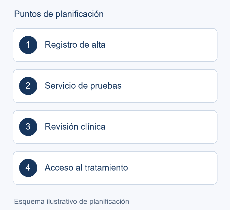 Esquema de planificación: Registro de alta → Servicio de pruebas → Revisión clínica → Acceso al tratamiento